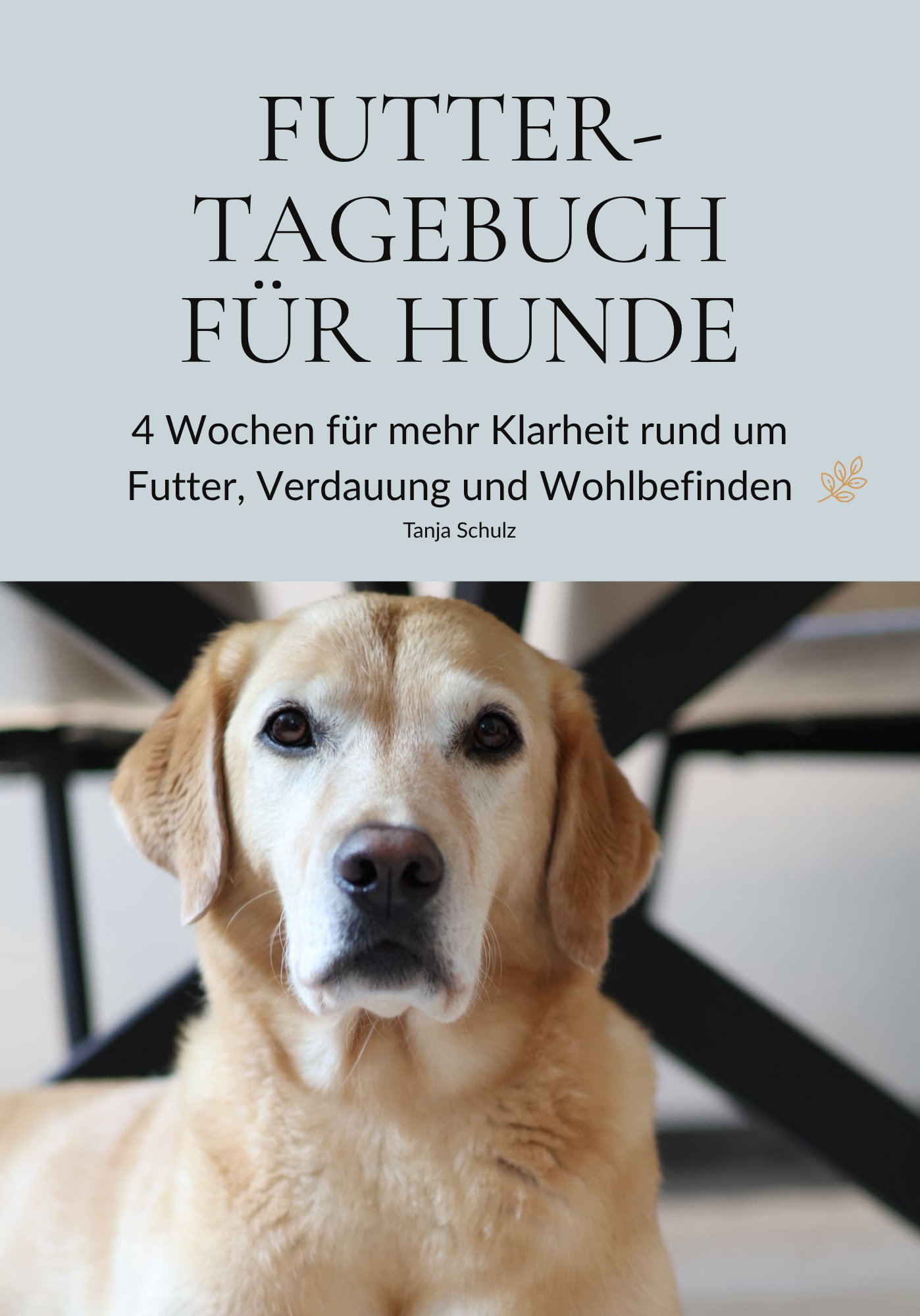 Hund verträgt das Futter nicht? Wann ein Futtertagebuch hilft