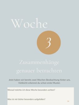 Futtertagebuch – Innenseite Woche 3 Woche 3 – Zusammenhänge genauer betrachten" aus dem Futtertagebuch für Hunde