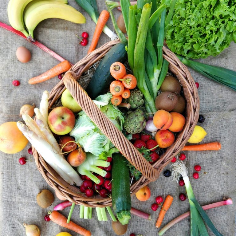 Schüssel mit Trockenfutter, Brokkoli, Karotten und Zucchini auf Holzuntergrund.