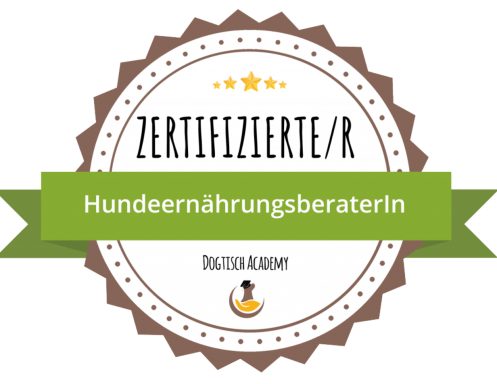 Zertifikat für Hundernährungsberatung mit Sternen und einer gelben Enten-Illustration.