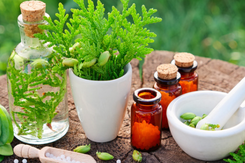 Schüssel mit Joghurt, frischen Blaubeeren und einem Minzblatt, umgeben von Blaubeeren.