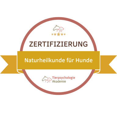 Zertifikat für Naturheilkunde für Hunde, ausgestellt von der Tierpsychologie Akademie.